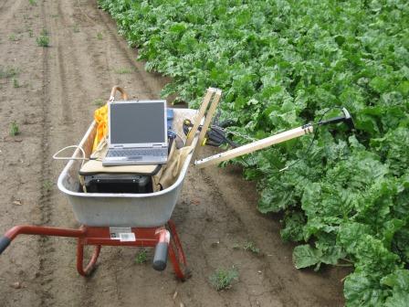 Hyperspectral crop measurement