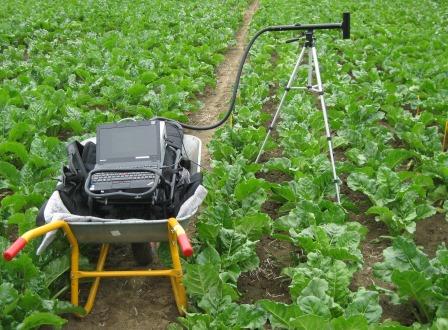 Hyperspectral crop measurement