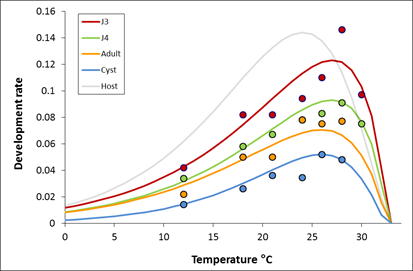 Nematodenstadienentwicklung als Funktion der Temperatur