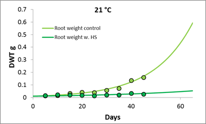 Entwicklungsrate der Zuckerrübe bei 18°C mit und ohne Nemaotden