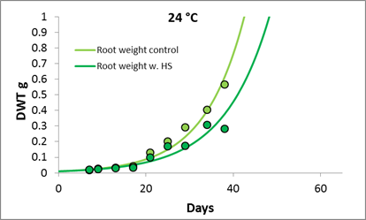 Entwicklungsrate der Zuckerrübe bei 24°C mit und ohne Nemaotden