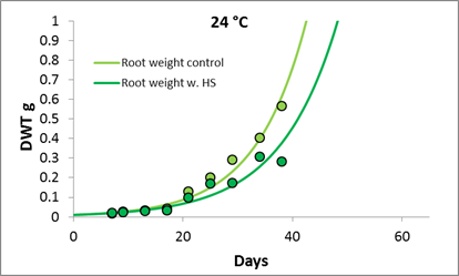 Sugar beet development rate at 24°C