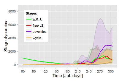 Dynamics of nematode stages