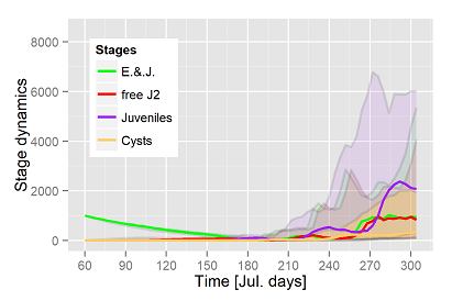 Dynamics of nematode stages