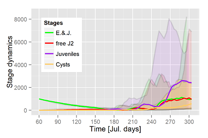 Dynamics of nematode stages