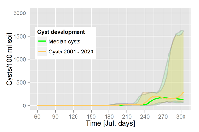 Cyst dynamics of H. schachtii