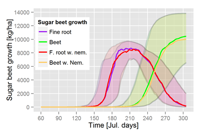 Leslie sugar beet