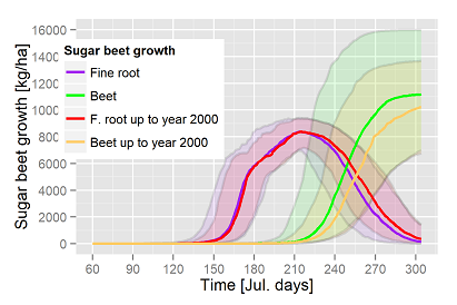 Sugar beet growth