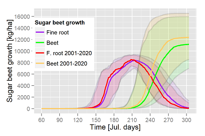 Sugar beet growth