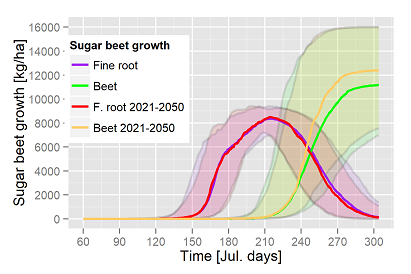 Sugar beet growth