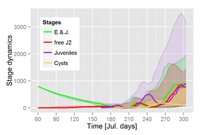 Dynamics of nematode stages