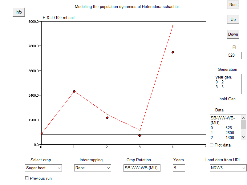 Heterodera schachtii dynamics