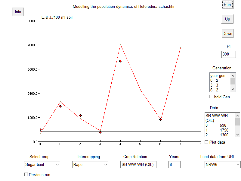 Heterodera schachtii dynamics