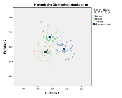 Sorteneffekte