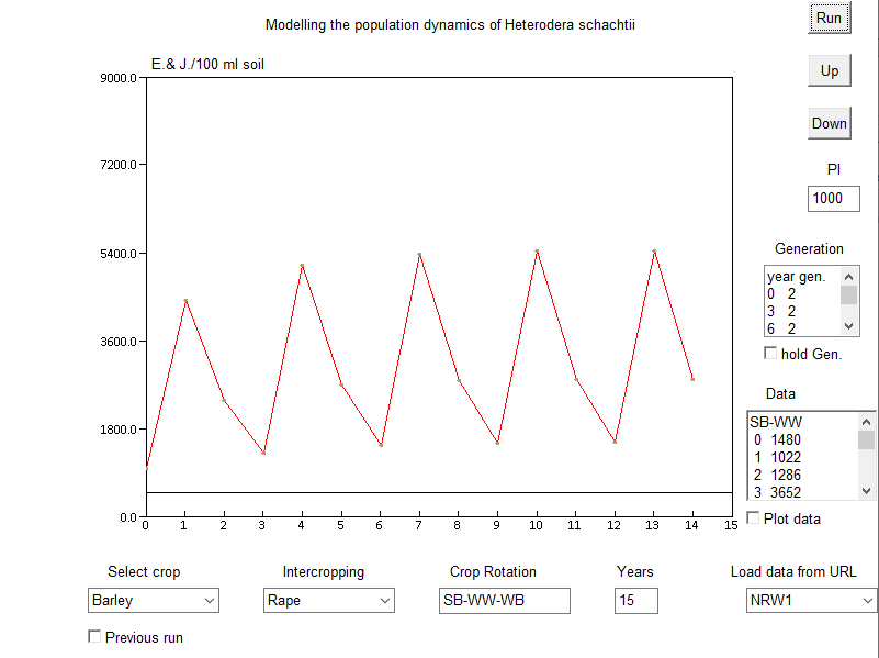 Heterodera schachtii dynamics