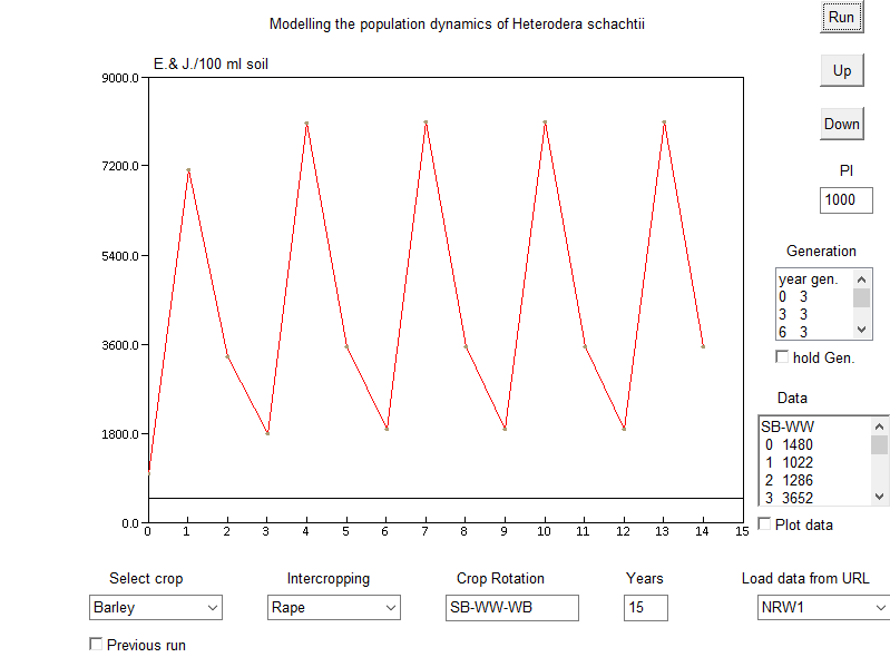 Heterodera schachtii dynamics