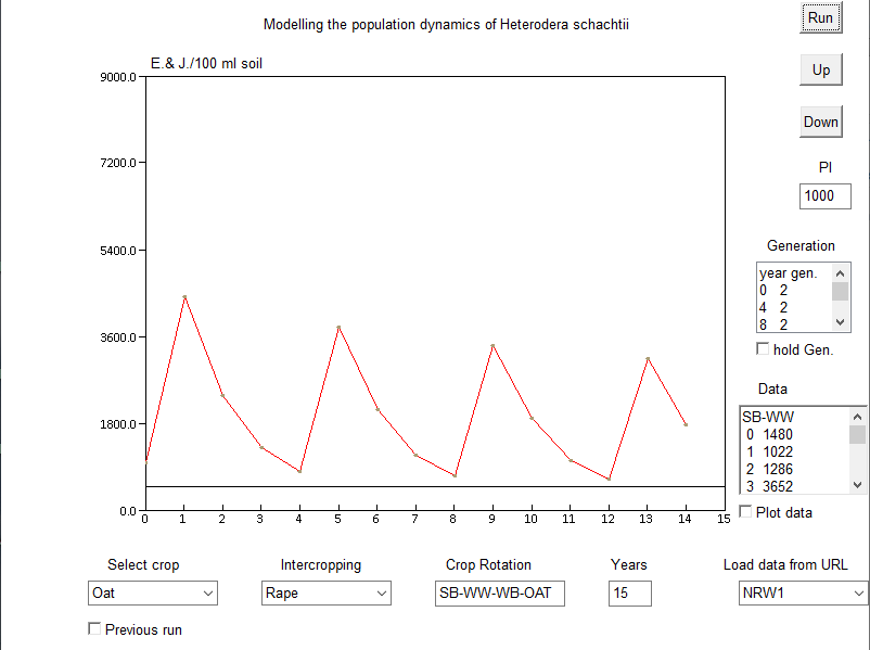 Heterodera schachtii dynamics