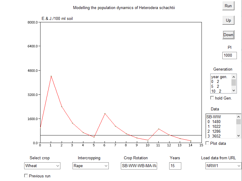 Heterodera schachtii dynamics