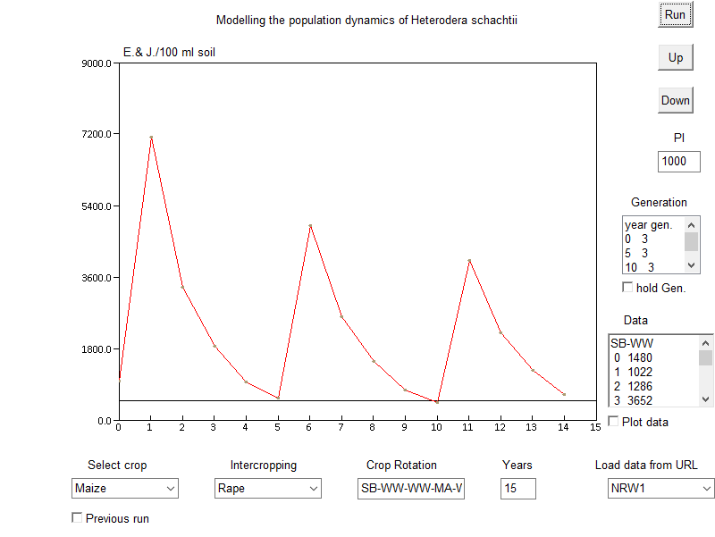 Heterodera schachtii dynamics