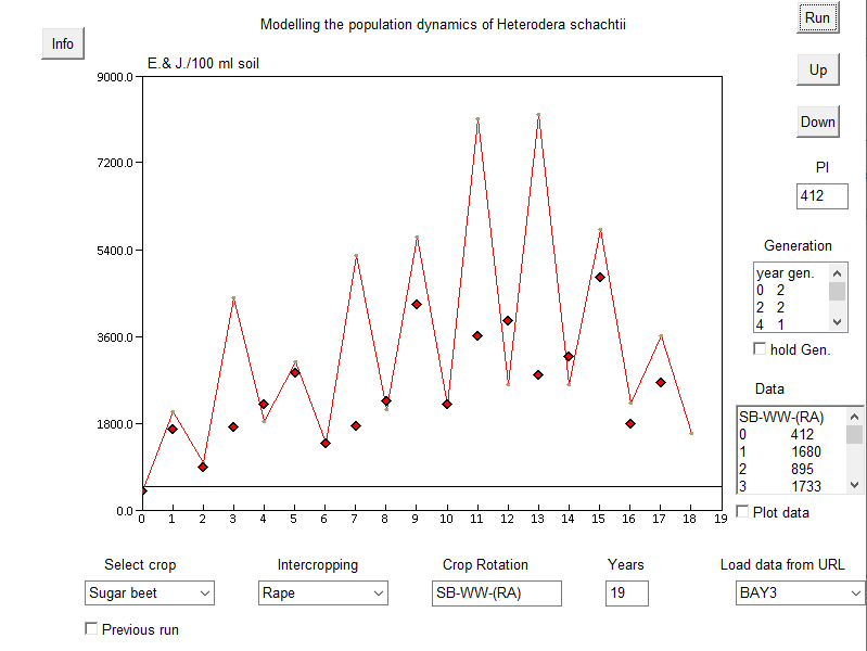 Heterodera schachtii dynamics