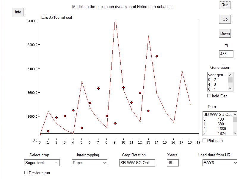 Heterodera schachtii dynamics