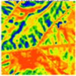 Hyperspectral image P. viticola