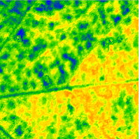 Parameter der Weibullmodells