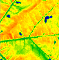 Parameter der Weibullmodells