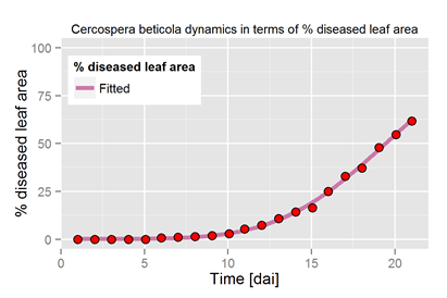 Bonitierter Cercospora Infektionsverlauf