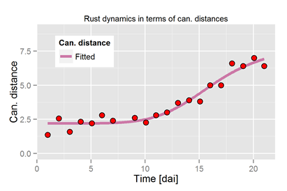 Rost Dynamik an der Zuckerrübe
