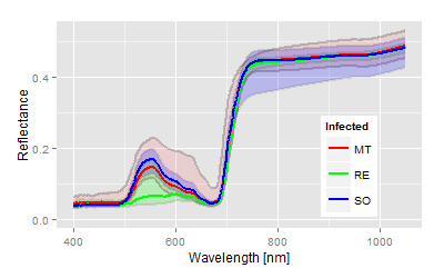 Reflectance of the grape der Rebensorten mit Infektion