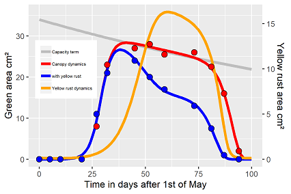 Alternative fit yellow rust model